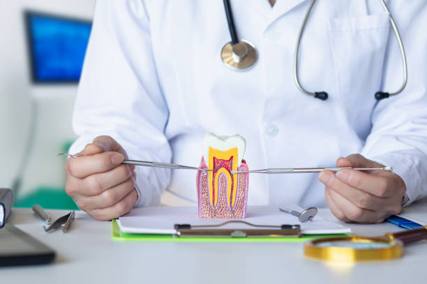 Reliable MD Emergency Dental Service Solutions